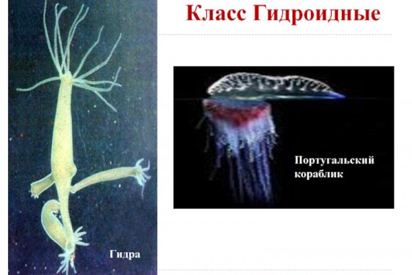 Ссылка на кракен онион
