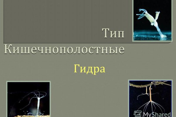 Клирнет ссылка на зеркало маркетплейс кракен