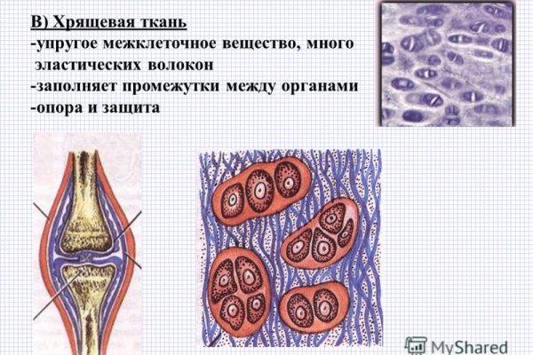 Кракен зеркало сегодня