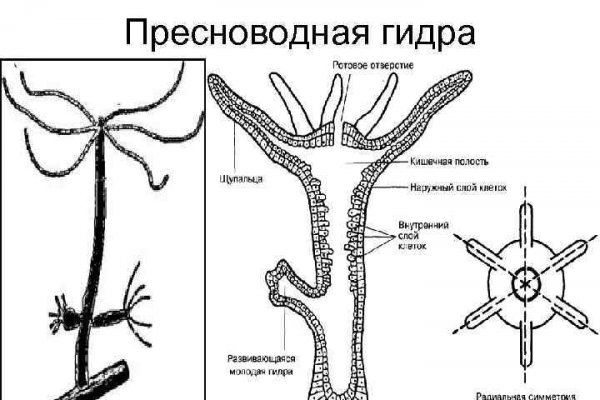 Даркнет площадки
