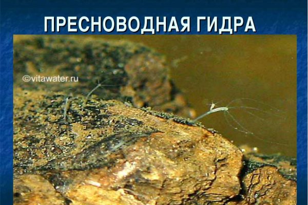 Сайт кракен тор браузера