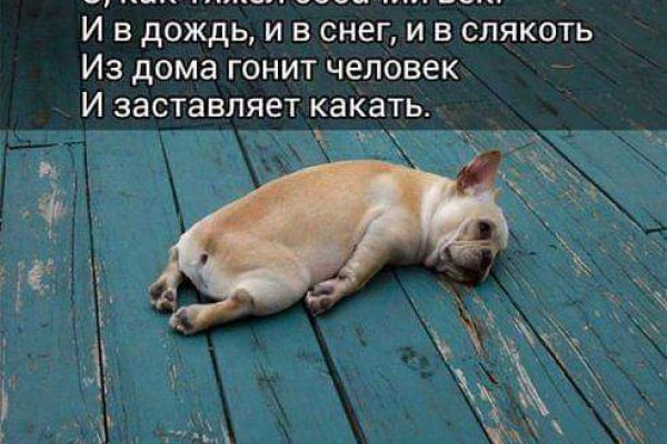 Кракен ссылка тор